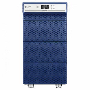 Pure Sine Wave Inverter- iCruze 10000